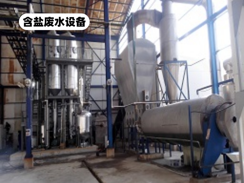 废盐焚烧装置如何定制